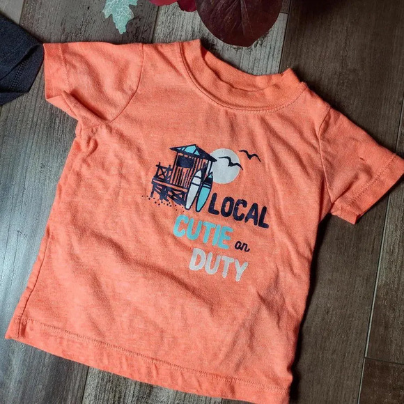 Toddler Boy Casual Cotton T-Shirt Bundle Size 12m 2 pc Summer - Picture 4 of 11